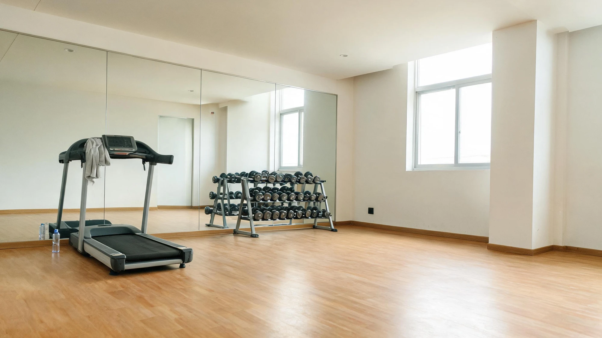 Home Workout Routine